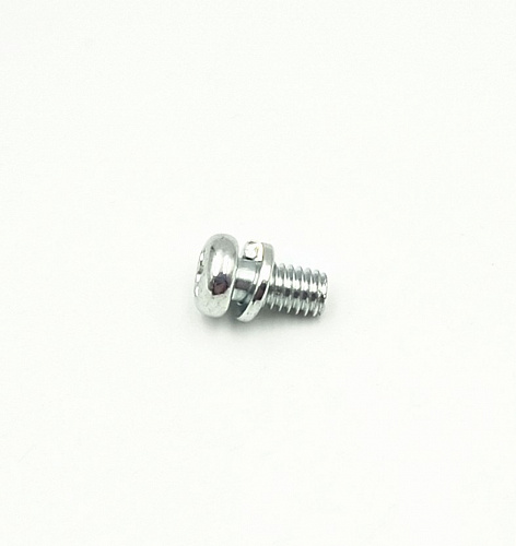 Винт PANHEAD W/SW